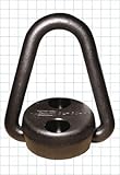 CL-20-HR Carr Lane Manufacturing Pivoting Hoist Ring: Load Rating 2000