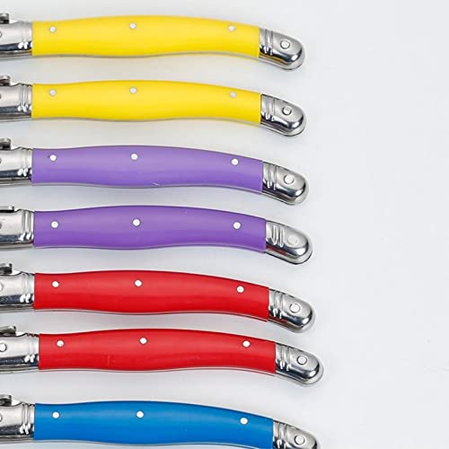 Besteck-Set 24-teiliges Tafelset Laguiole buntes Besteck Kunststoffgriff Tafelmesser Gabel Löffel Edelstahl-Essgeschirr (Farbe: 24 Rainbow Cutlery) (24 Rainbow Cutlery)