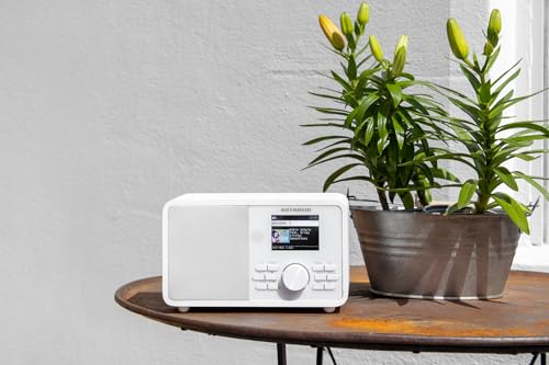 Kathrein DAB+ link M11 I DAB Plus Radio mit EWF I Digitalradio DAB+ & UKW, Internetradio I WLAN Radio mit Bluetooth für Streaming, Aux 3,5mm I Mit Fernbedienung & App-Steuerung in weiß