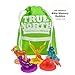 Ultimate Starter Kit Plus Digital - True North VBS 2025 by Group