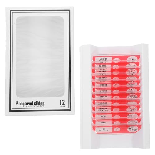 NESTINGHO �����w�p�����ς݌������X���C�h12���Z�b�g ���� �A�� �����T���v������ �w�Z�⌤������������p�ώ@�L�b�g