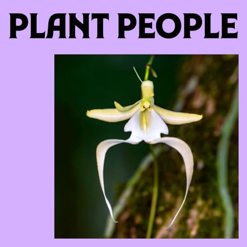 Ghost Orchid with Dr. Melissa Abdo