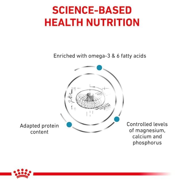 Royal Canin Veterinary SKIN & COAT | 1,5 kg | Diät-Alleinfuttermittel für kastrierte Katzen | Zur Unterstützung der Hautfunktion bei Dermatose und Haarausfall