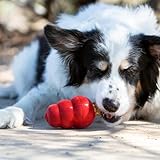 KONG Snacks - Natürliche Hundekekse - Mit leckerem Geschmack - Für KONG-Spielzeuge - Hühnerleber, Kleine Spielzeuge