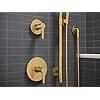 Awaken Showering Kit 1.75 Gpm