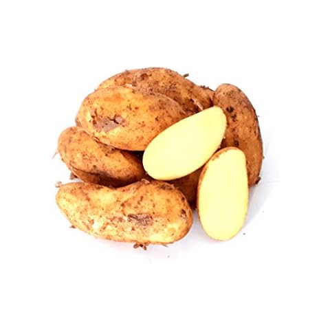 Kartoffeln Speisekartoffeln Annabelle 1-25 KG frische Ernte 2022 festkochend Salatkartoffel zum Grillen für Kartoffelsalat, Pellkartoffeln, Bratkartoffeln, Pommes Frites, Butterkartoffeln (10) Cover