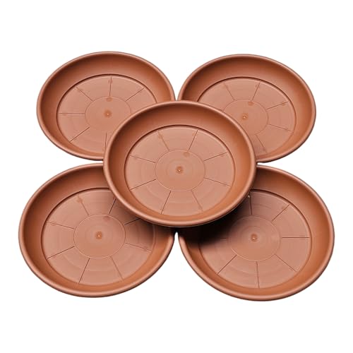 teramico Lot de 5 soucoupes de Pot de Fleurs résistantes aux intempéries, en Plastique Italien. pour Balcon, terrasse et Jardin, en Terre Cuite, Anthracite, Taupe. (Terre Cuite, 20 cm)