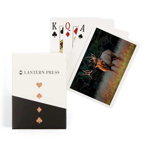 Lantern Press naipes de póker para adultos, 52 cartas