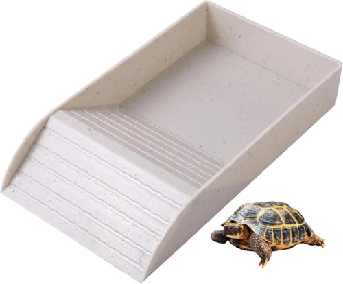 lisBaby NKpaMZbg X[vtoXLOvbgtH[ ~ߗ ঒ގP[X T ybgpi (zCg)