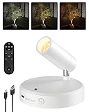 EZVALO Kabellose Spotlight 5500mAh, 3 Farben Dimmbar Wandspot mit Fernbedienung & Timer-Funktion, 350° Drehbare Aufladbar Wandlampe für Bilderbeleuchtung Pflanzenbeleuchtung (Weiß, 1 Stück)