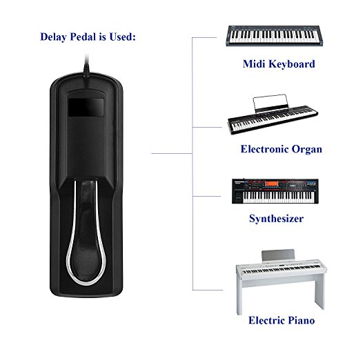 Maxllto Sustain Pedal For Casio Keyboard Compatible With Ctk-451, Ctk-470, Ctk-471, Ctk-480, Ctk-481, Ctk-485, Ctk-491, Ctk-495, Ctk-496, Ctk-500, Ctk-501, Ctk-510, Ctk-511, Ctk-515, Ctk-518, Ctk-519 #TOP5