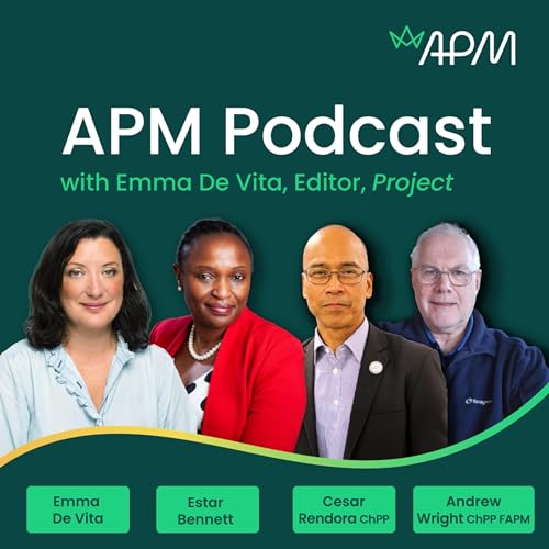 Using a systems thinking approach to select successful projects