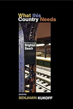 Paperback What this Country Needs Book