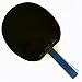 Palio Master 2.0 Table Tennis Racket & Case | ITTF-Approved Intermediate Ping Pong Paddle | Allround Spin, Speed and Control