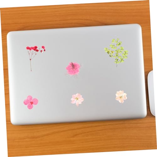 30 piezas flores secas prensadas para decoración DIY miniatura 3