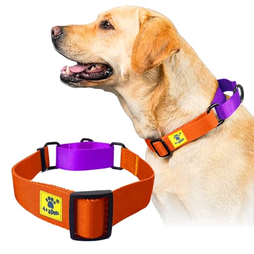 Image of A+a Pets Martingale Dog Collar | No Pull Design, No Neck Strain, No Choke Design | for Large & Medium Dogs | Rust Free, Waterproof Nylon Training Collar (Orange & Purple), 30 x 2.5 cm