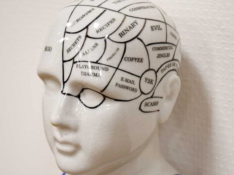 Amazon.co.jp: フレノロジーヘッド M 頭の置物 オブジェ THE