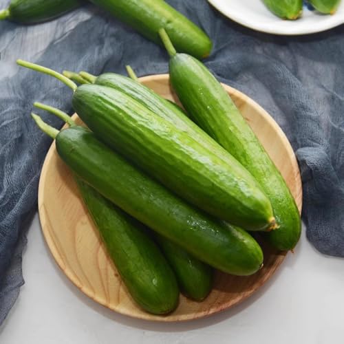 350 semillas de pepino