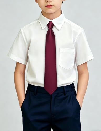 Image of Hi-Tie Pretied Boys Ties Solid Color Kids Adjustable Necktie Lapel Pin Clip Set Age 8-12 Wedding School Graduation