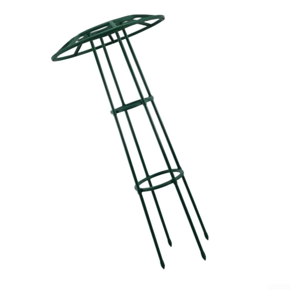 Pflanzenrankhilfe Grün Kunststoff Eisen Robust(116cm)