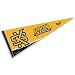 Kennesaw State Owls 12" X 30" Pennant