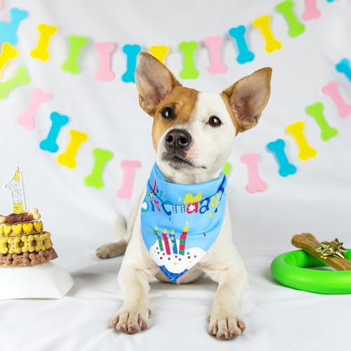 Oruola Halstuch Hund Geburtstag, Geburtstags Halstuch, Lang 66 cm Hunde Halstücher, Dreieck-Lätzchen für Verschiedene Größen, Hundehalstücher für kleine, mittelgroße und große Hund, Blau