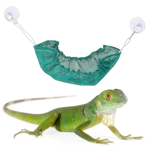 Toddmomy Rede De Lagarto Dragão Barbudo Rede De Répteis Para Dragões Barbudos Lagartixas Lagartos Ma