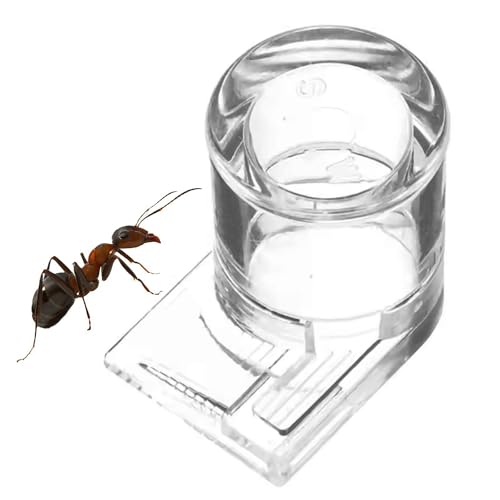 a̋ 3*4cm ^  ঒ނ̉aM RIM̋ pa Ảatc[ ȃ_ Rj[ώ@Lbg |ȒP ^  gՂ