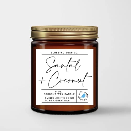 Bluebyrd Santal Coconut Wax Candle Jar 9Oz | Luxury Woodsy Santal & Coconut Scented Candles | Clean Burning Coconut Wax, 100% Cotton Wick, Non-Toxic Fragrance (Santal Coconut, 9Oz) #TOP7