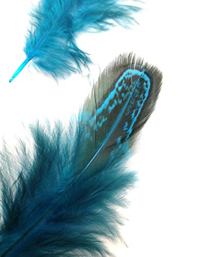 100Pcs 2"-3" Natural Pheasant Feathers Fluffy Spotted Plumage Feather For Dream Catcher Crafts Sewing Clothing Decoration (Turquoise) #TOP2