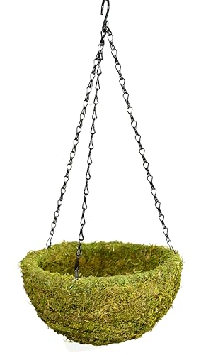 SuperMoss (29202) MossWeave Hanging Basket - Round, Fresh Green, Small (12.5 Diameter)'