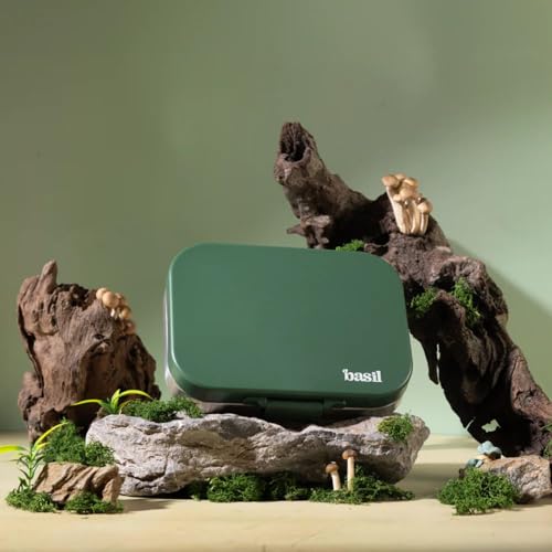 Image of Basil Bento Box Quad - 4 Compartment Stainless Steel Lunch Box with BPA-Free Plastic Lid | 800 ml Leak-Proof Tiffin Box for Kids & Adults | Premium School, Office, and Picnic Lunch Box - Wild Wood