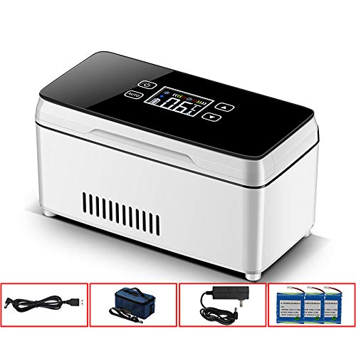 Tragbarer Medikamentenkühlschrank, Insulinkühlschrank, Mini-Autokühlschrank, verwendet für Interferon-, Insulin- und andere
