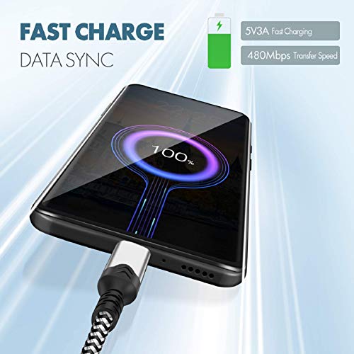 Deegotech Usb C Cable 10Ft, [2-Pack] Extra Long Nylon Braided Usb C Charger Cable Type C Charger Fast Charging Compatible With Samsung Galaxy S10 S9 S8 Plus Note9 8 And More (3M) #TOP2