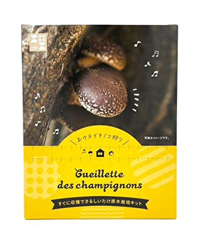 chene 原木シイタケ栽培キット おウチでキノコ狩り