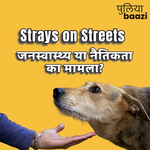 『आवारा कुत्तों की समस्या: जनस्वास्थ्य या नैतिकता का मामला? The Irrational Laws Behind India’s Stray Overpopulation』のカバーアート