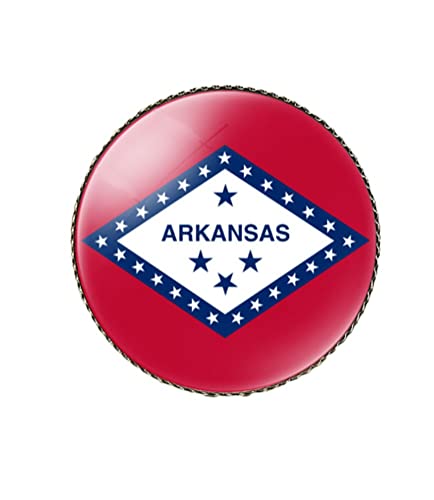 Image of vmcoatdu Round 1 Inch South Carolina Flag Pin Brooch Metal and Inlay Glass Revivalism Style Souvenir Badge Brooch for Hat Clothes Backpack