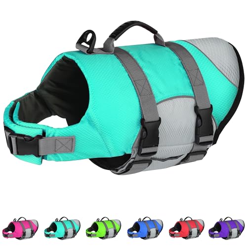 Dog Pfd The 15 best products compared Wild Explained