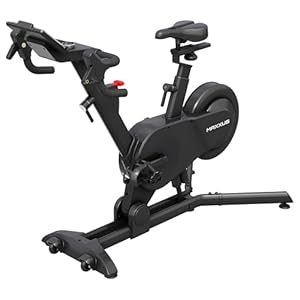 MAXXUS SpeedBike S2 - Leise, Magnetischer Widerstand, Monitor, Tablet Halter, Kompatibel mit Zwift, Schwarz - Heimtrainer Fahrrad, Indoor Cycling Bike, Fitness Hometrainer (Schwarz/Grau)