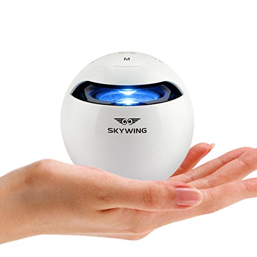 [Portable Case Included] SKYWING SoundAce S5 Mini 5W Crystal Shower Speaker, 15H Music