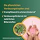Carvomin pflanzliche Verdauungstropfen bei Magen-Darm-Beschwerden, Blähungen, Völlegefühl & Magenkrämpfen - mit natürlichen Bitterstoffen und ohne Schöllkraut - 50 ml