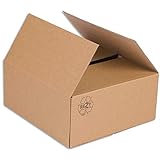 Faltkarton 240 x 220 x 100 mm Karton Schachtel Versandkarton Paketversand 25 Stück