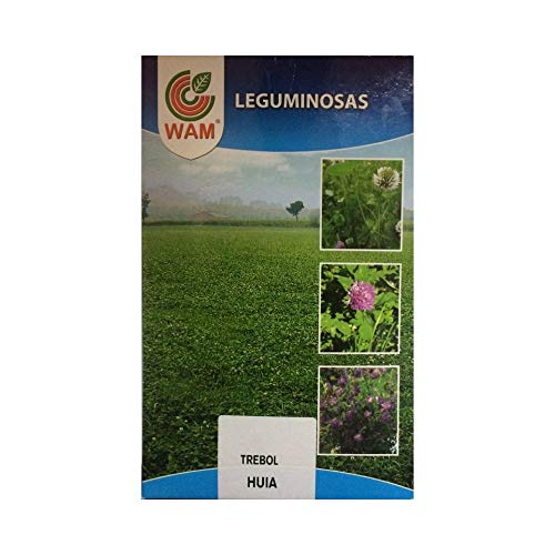 Semillas de TRÉBOL BLANCO HUIA WAM - 1 kg