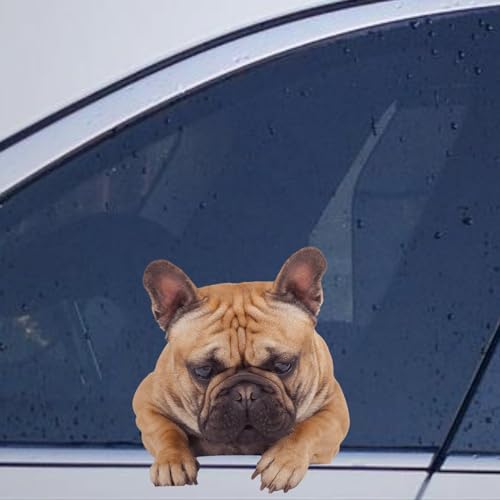 Image of Pug Bulldog Car Window Stickers Pug Bulldog Car Decal Animal Pet Window Decal Vinyl Decal for Car Truck Bumper Window Laptop Gift to Dog Lover