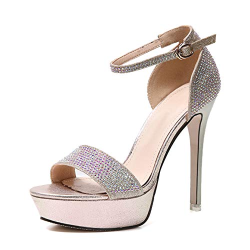 [IJGE] EFfBOV[Y 23.0cm CXg[ r pvX 12c I[vgD p[eB[  fB[X ANXgbv sq[ nCq[ TCY T_ LL S[h p[eB[T_ hX