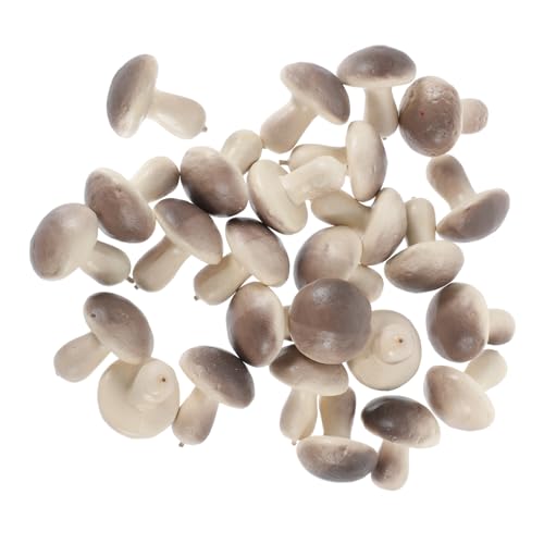 Micro Statues de Champignons BESTonZON pour Décoration de Table et Bonsaï - 2