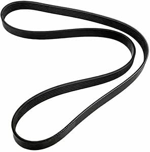 Courroie Serpentine Pour Moteurs Marine 4.3L 5.0L 5.7L 6.2L 6.3L - Compatible 57-865615Q03, Remplacement Alpha/Bravo