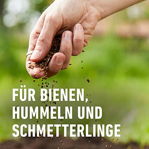 Compo Balkonblumen Samen-Mix für Bienen, 100 g, 15 m²