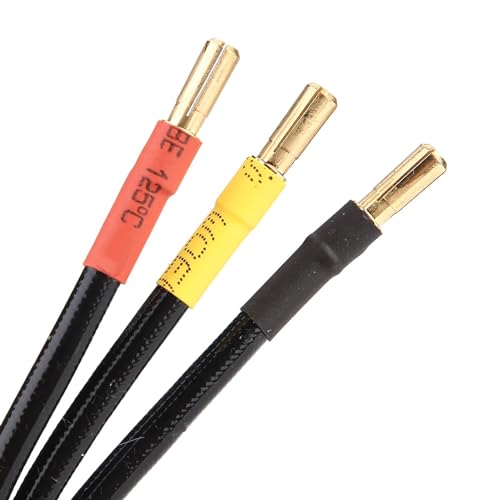 Dilwe RC Brushless Motor 3660 Wasserdicht Motor Zubeh&ouml;r f&uuml;r 1/10 1/8 RC Auto (4200KV), Zubeh&ouml;r f&uuml;r Modellautos