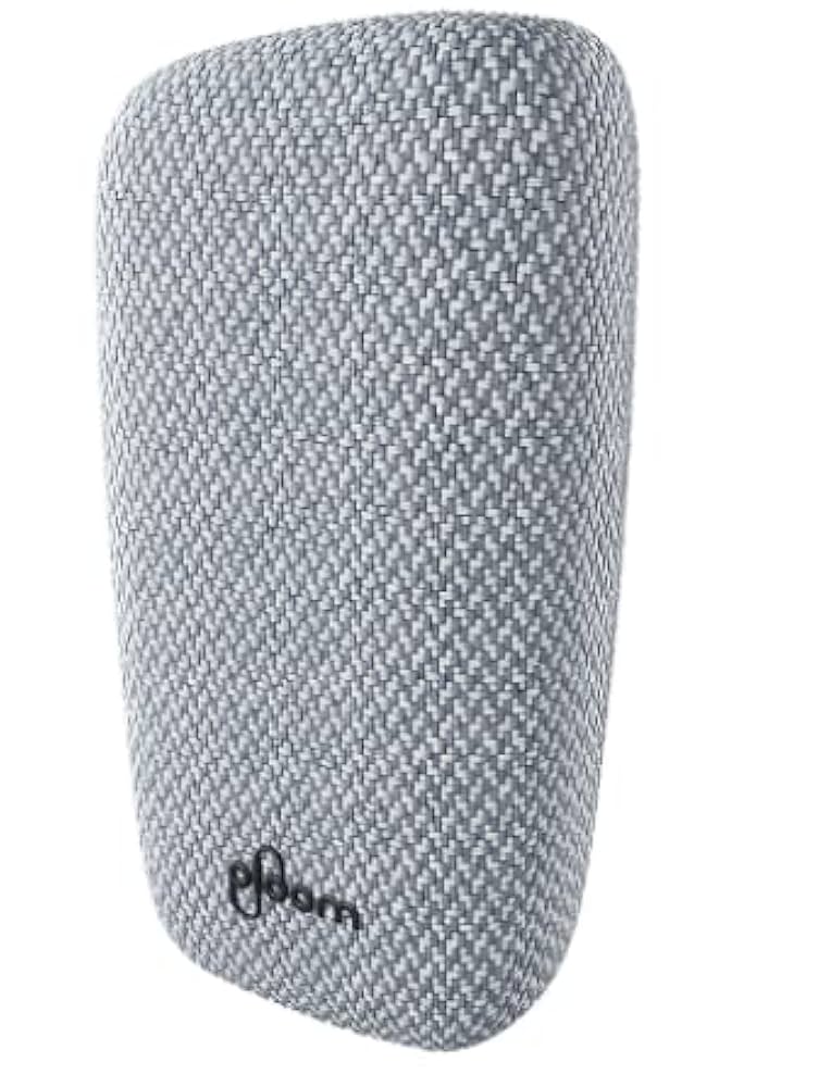 BOOX Poke5 本体 純正カバー セット 中古品 2025年最新】boox poke5の人気アイテム - メルカリ